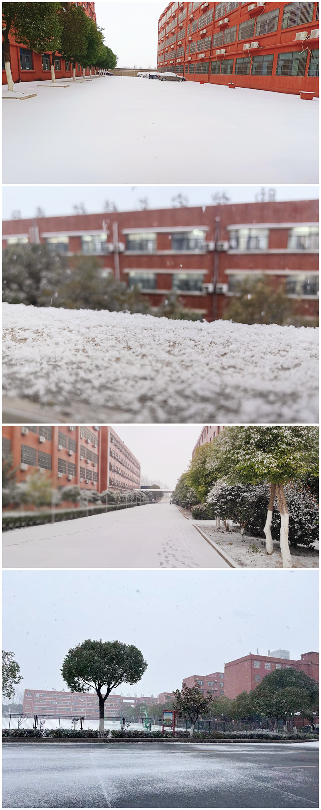 微信图片_20231218193728.jpg